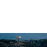 03012-BRO_LCR_03M