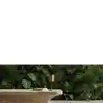 03017-BRO_LCR_03M