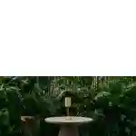 03016-GOL_LCR_04M